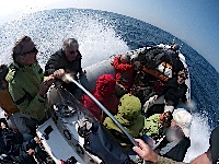 Umzug per Speedboot